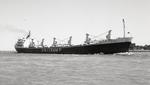 STAR CANOPUS (1965, Ocean Freighter)