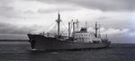 THORFRID (1957, Ocean Freighter)