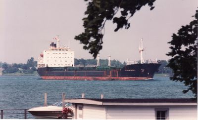 ZIEMIA GNIEZNIENSKA (1985, Ocean Freighter)