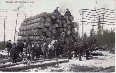 325 Hauling Logs