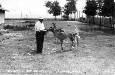 339 Mr. Tollson and his pets, Alpena