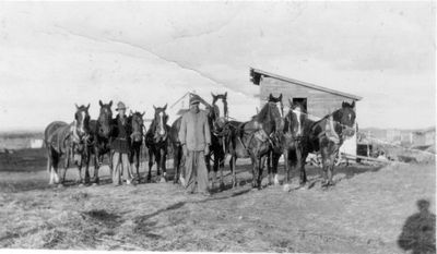 023 Two men standing with eight horses