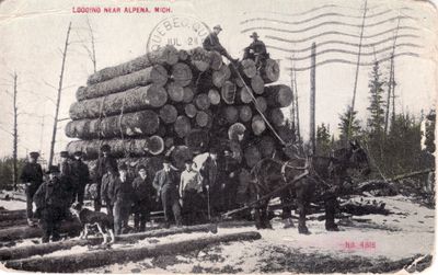 044 Logging near Alpena, Mich.