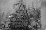 046 Five men atop large load of logs with team of horses and two men standing next to them.