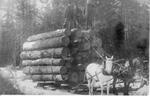 047 Three men standing atop large load of logs on horse drawn sled