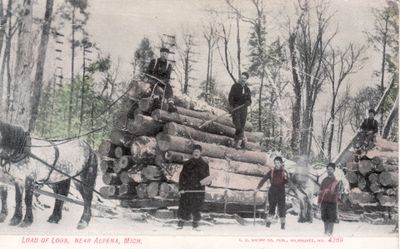 049 Load of logs, near Alpena, Mich