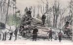 049 Load of logs, near Alpena, Mich