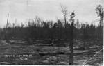 242 Metz Fire, 1908