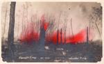 244 Metz Fire, 1908