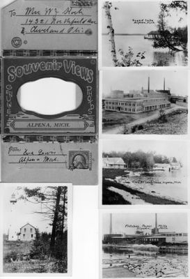 276 Souvenir Views, Alpena, Mich.