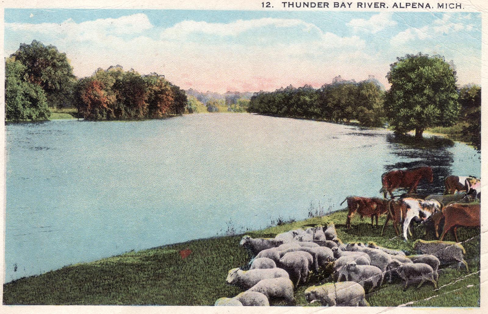 297 Thunder Bay River Northeast Michigan Digital Archive