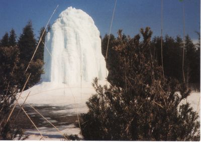 308 Ice Tree