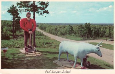 477 Paul Bunyan Lookout