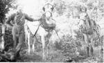 619 Unidentified man with two horses