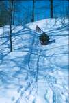 062 Alpena Recreation: Winter Activities