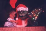 Thunder Bay Theatre: How The Grinch Stole Christmas; 1986