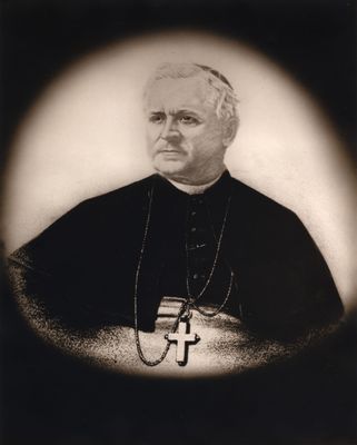 1st Auxiliary Bishop, Timothy O'Mahony