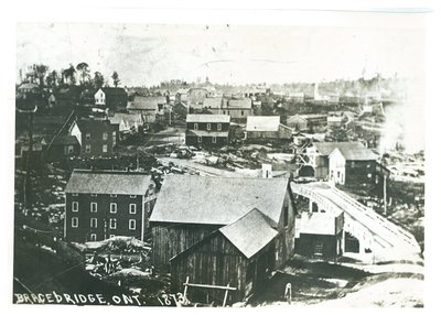 Bracebridge 1873