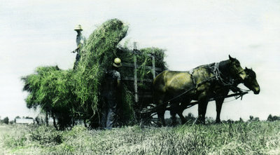 Loading a Hay Wagon in the 1930's