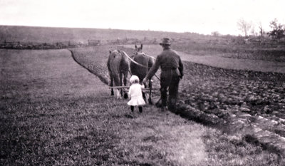 Team of Horses pulling a Plow