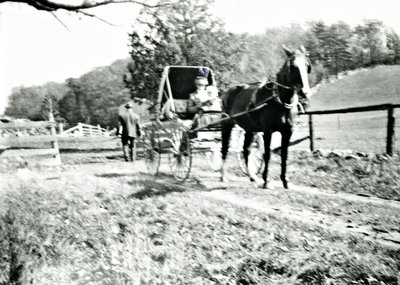 Horse and Buggy