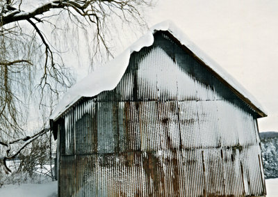 Metal Sided Hog Barn