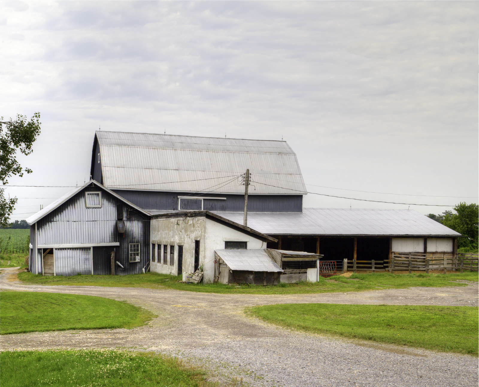 The Cole Family, 15192 County Road 21