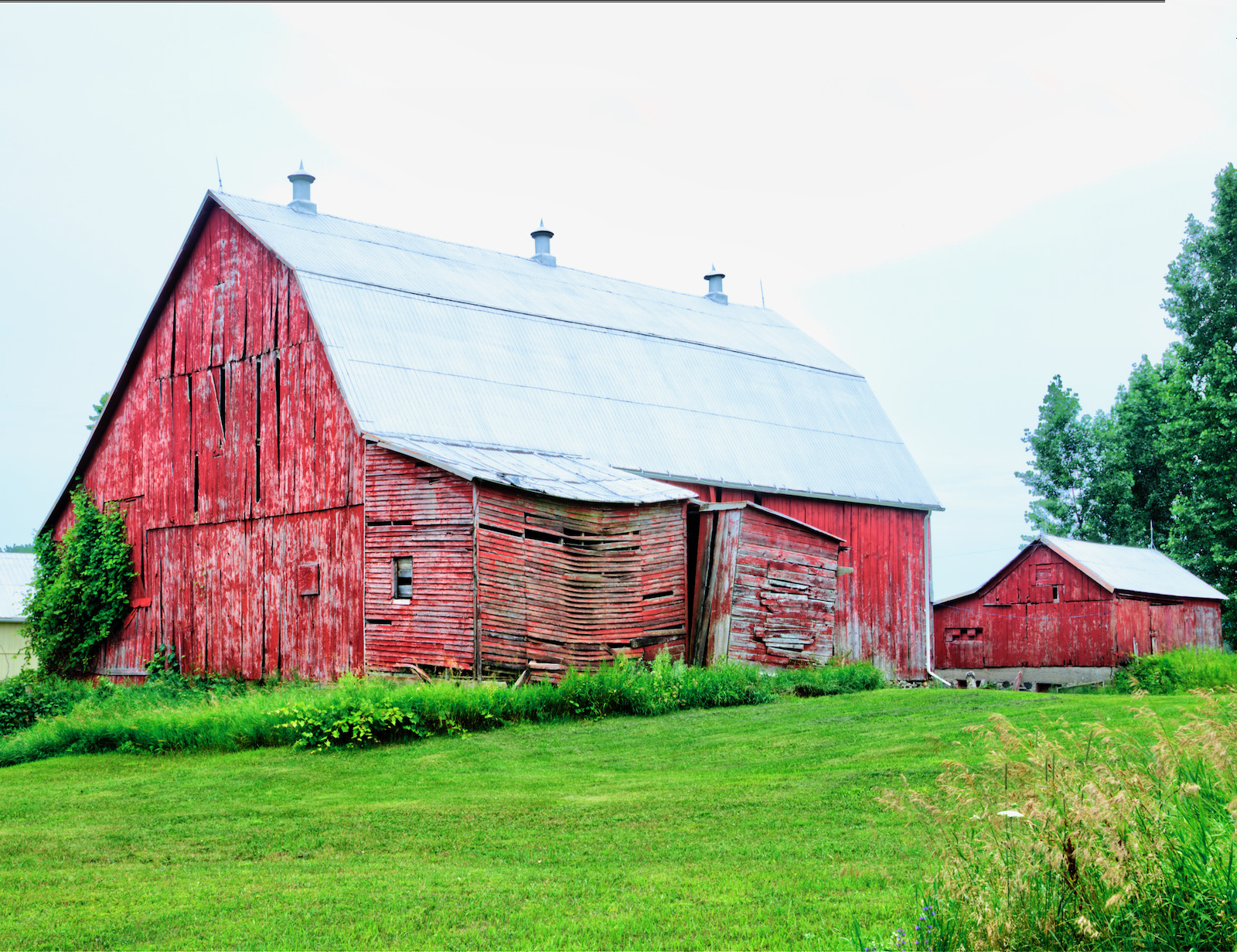 The Walsh Family, 638 County Road 26