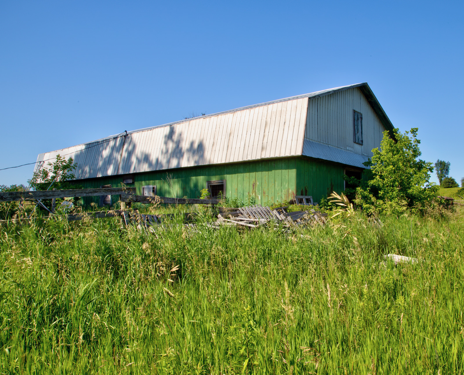 The Hayes Family, 1572 County Road 26