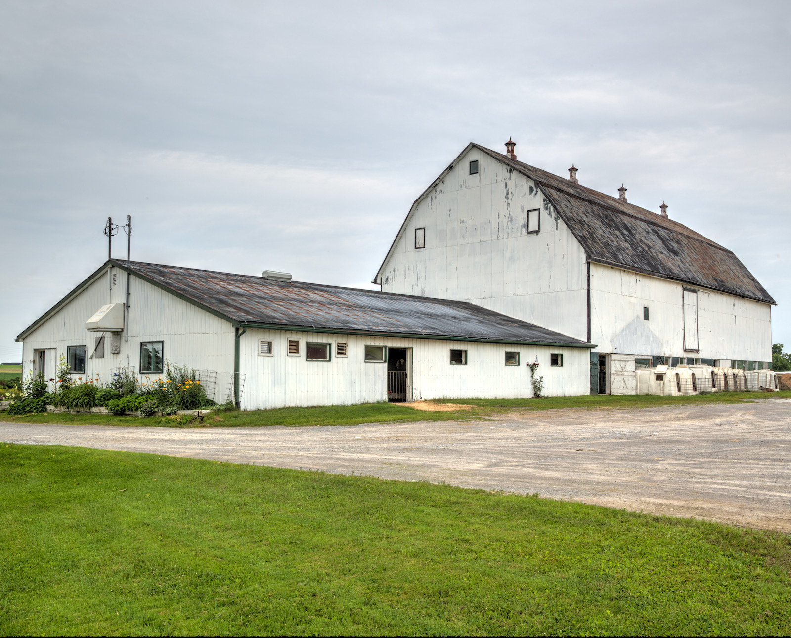 Avonlea Genetics, 1925 County Road 26