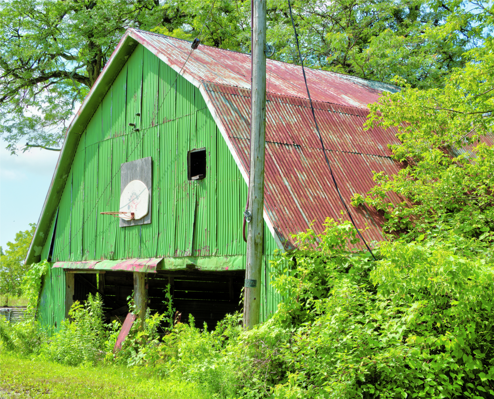 The Stewart Family, 491 Carman Road