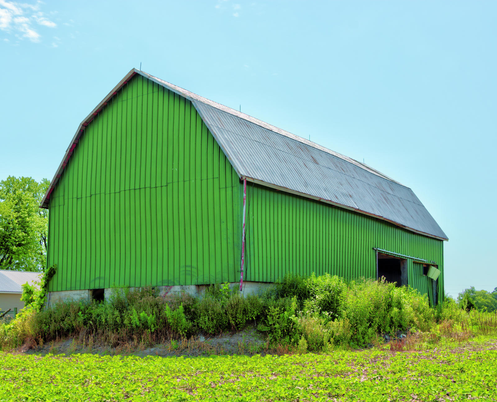 The Stewart Family, 632 Carman Road