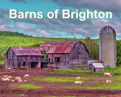 Barns of Brighton