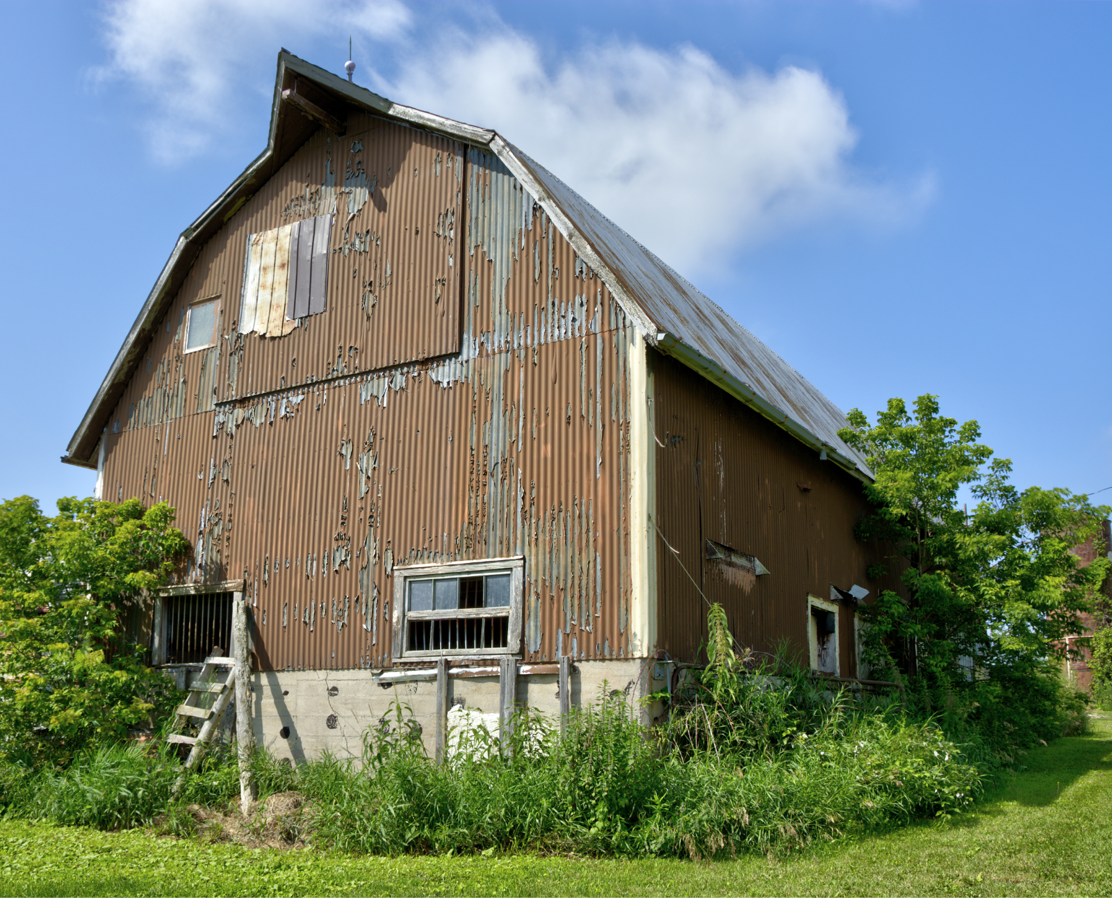 The Low Family, 1249 Carman Road