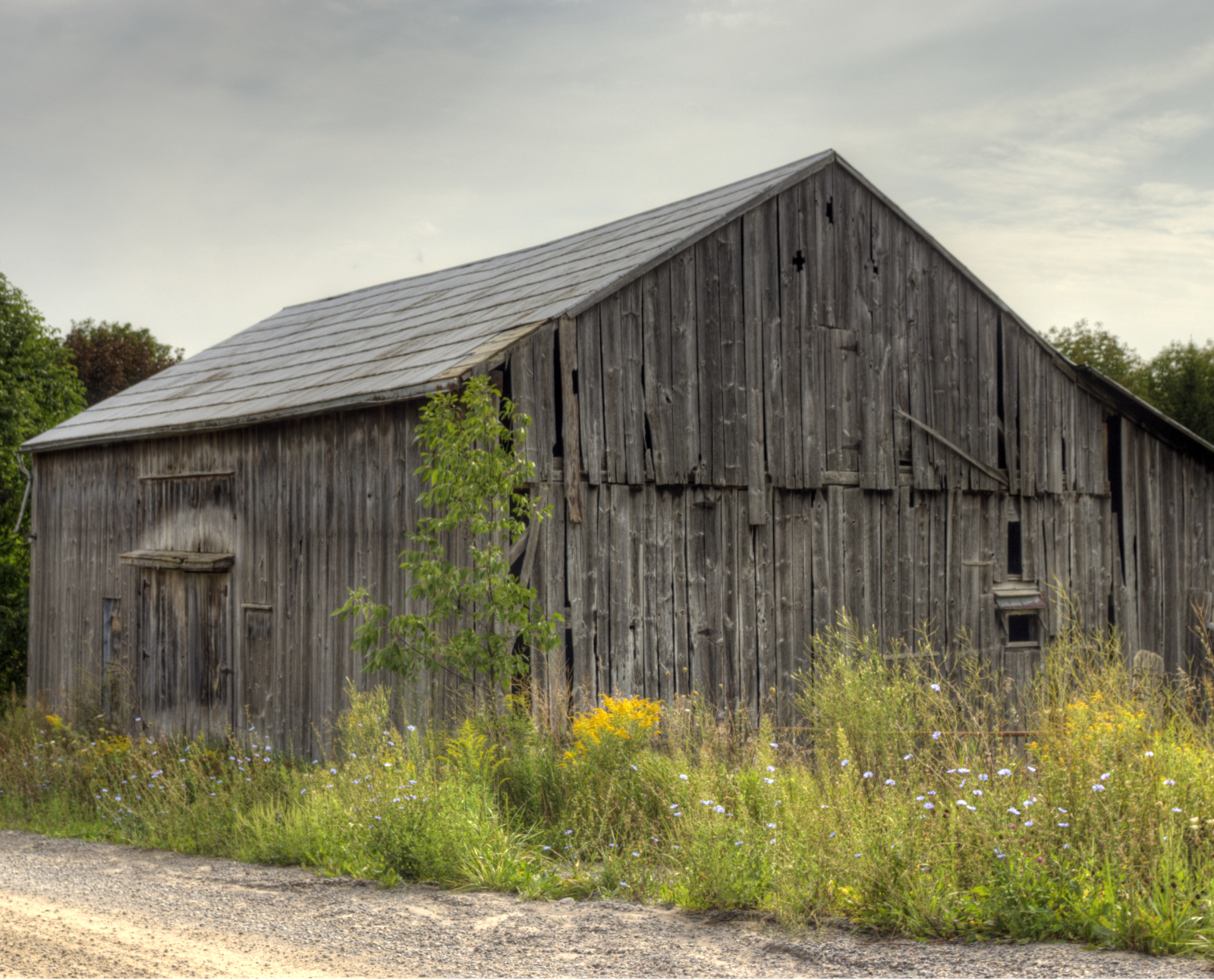 The McNutt Family, 335 Hutchinson Road