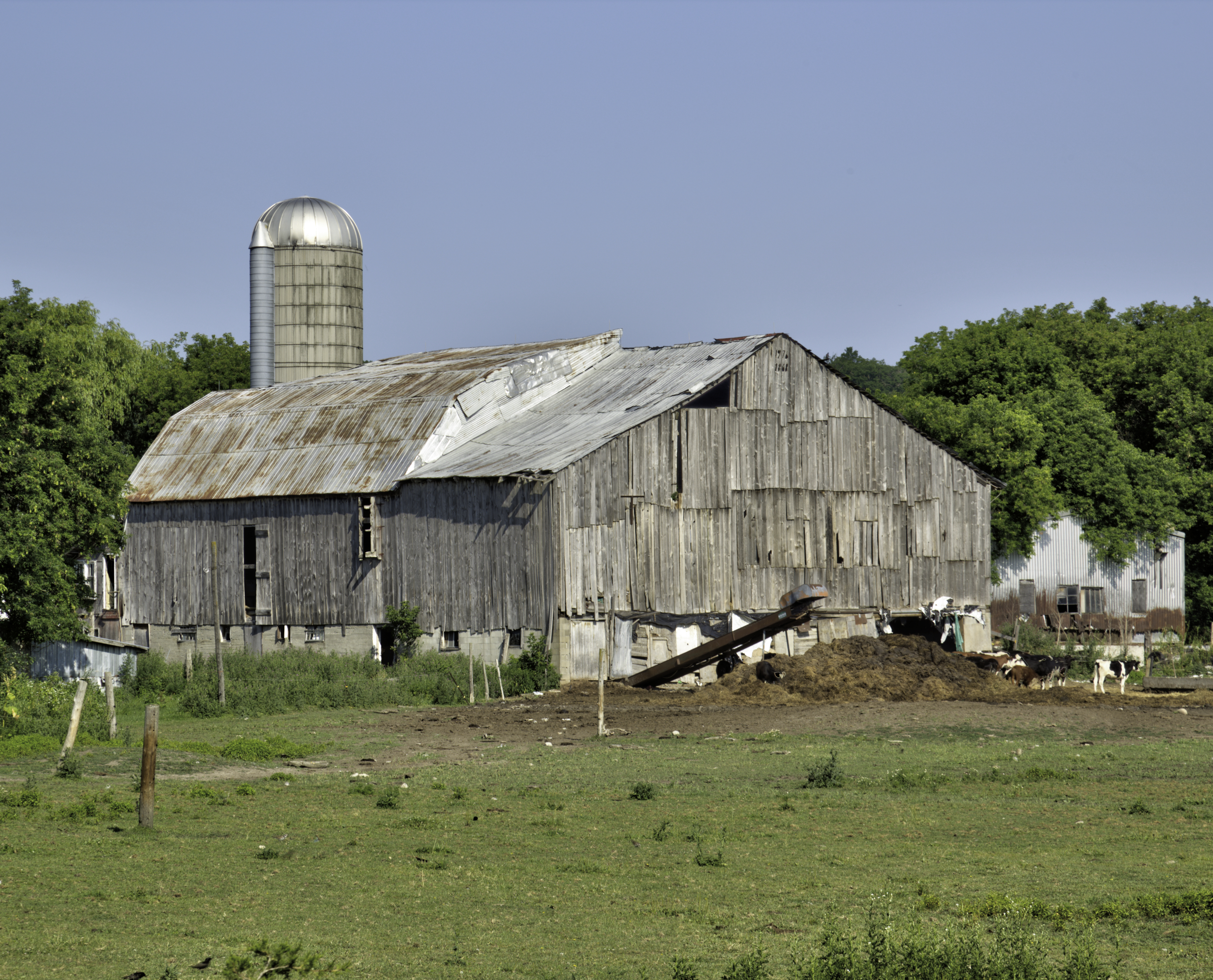 The Dixon family, 768 Old Wooler Road