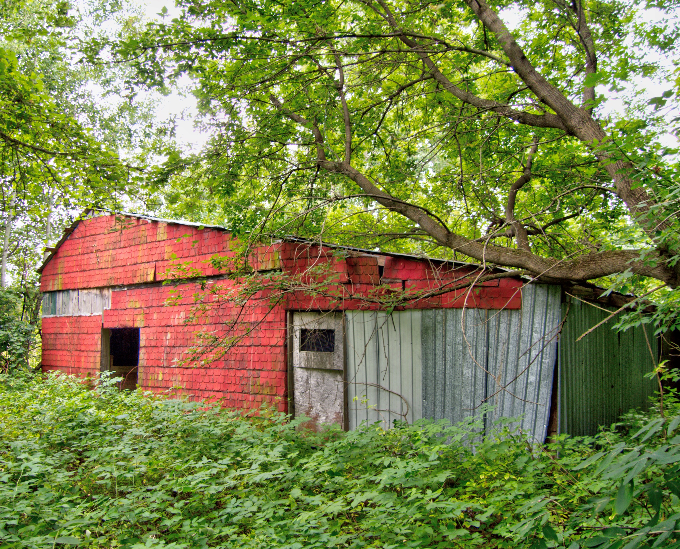 The Mulcahey Family, 397 Cramahe Hill Road