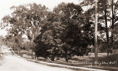 Approaching Brighton, Ont., ca. 1920