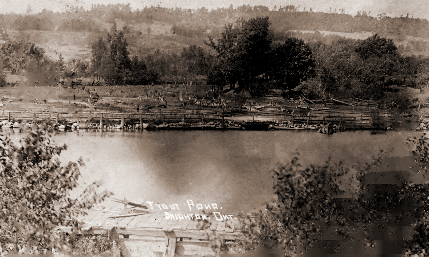 Trout Pond, Brighton, Ont., 1907