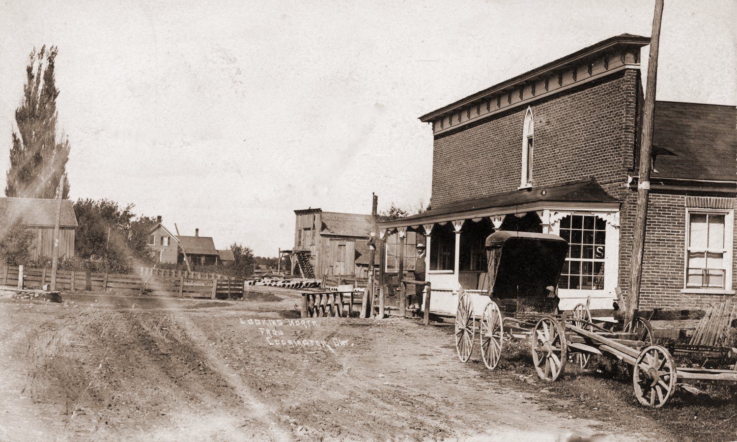 Looking North from Codrington, Ont., 1906