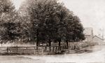 Mt. Olivet, near Codrington, Herington Photo, ca. 1905