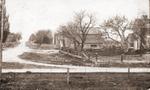 Looking North Codrington, Ont. Herington Photo, ca. 1910