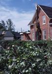 Tree top snapped off in the tornado