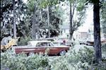 Tornado damage to Brighton, Ontario