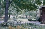 Tornado damage to Brighton, Ontario