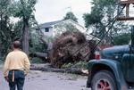 Tornado damage to Chapel Street, Brighton, Ontario