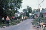 Tornado damage to 60 Main Street, Brighton, Ontario