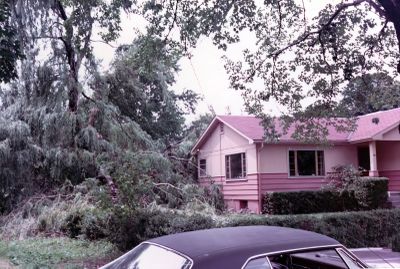 Tornado Damage in Brighton, Ontario, Canada.