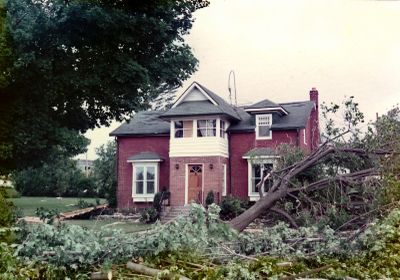 Trees downed by 1973 tornado in Brighton, Ontario, Canada