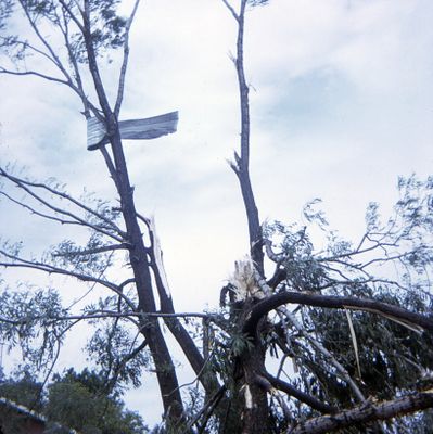 Tornado damage to Brighton, Ontario